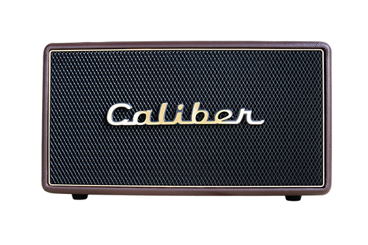 Retro vintage speaker HFG411BT