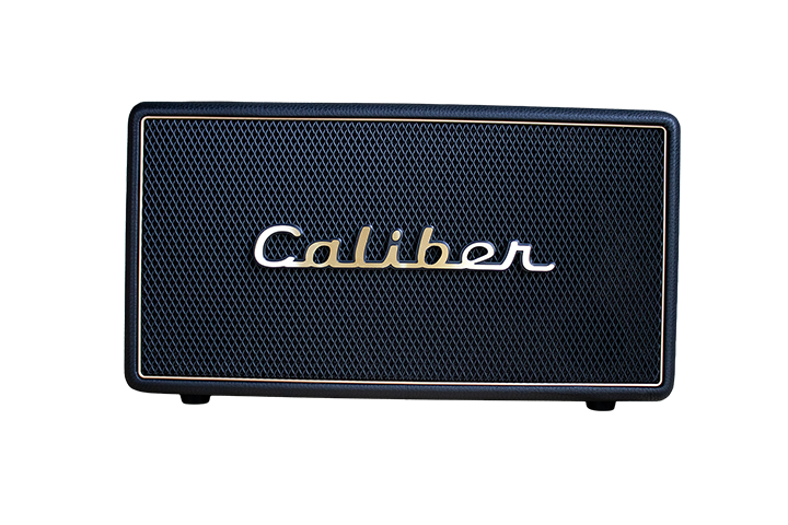 Retro vintage speaker HFG411BT