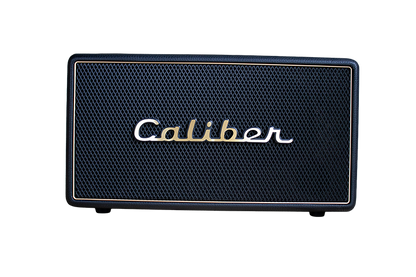 Retro vintage speaker HFG411BT